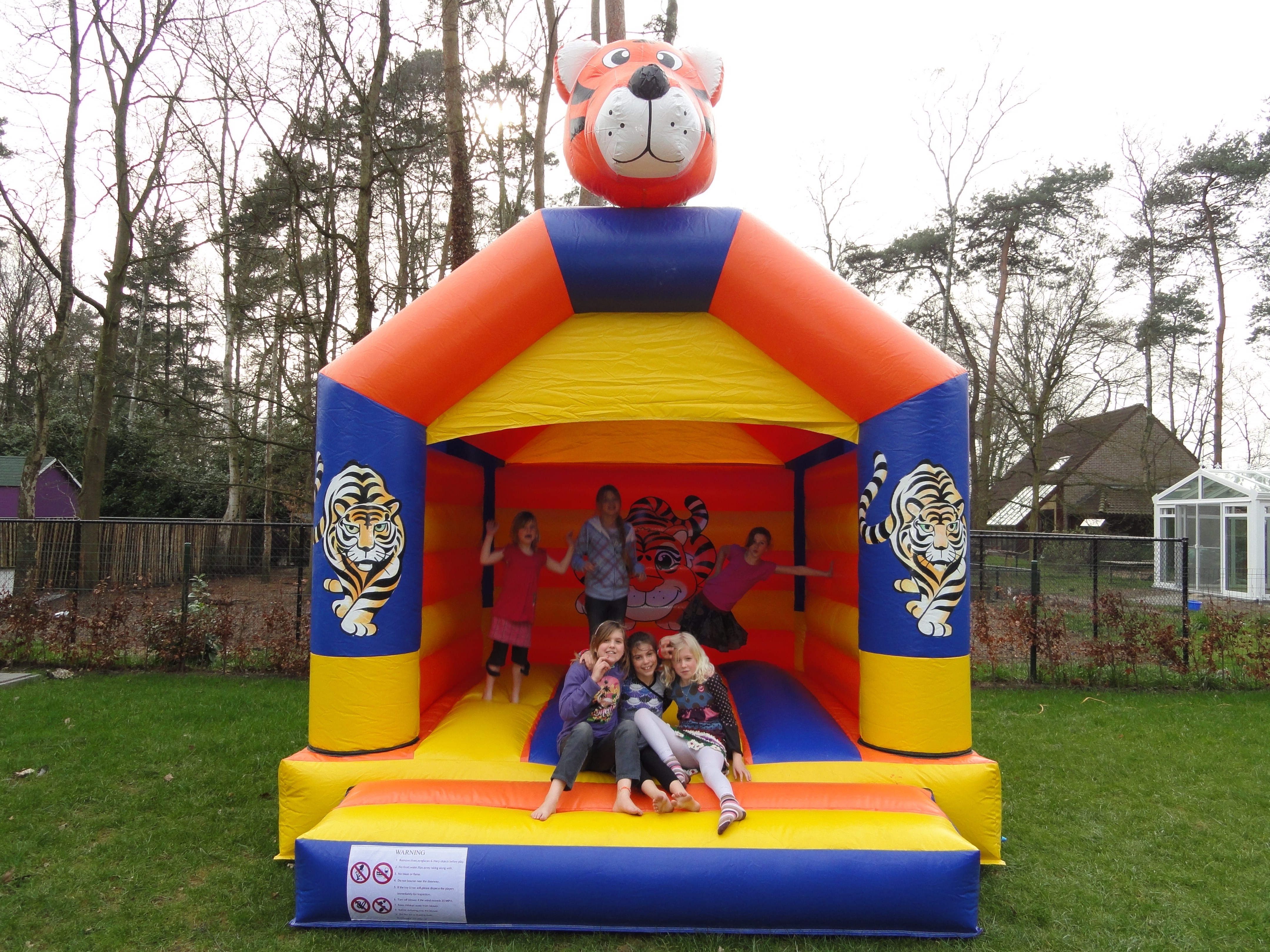 Springrid/Feestmakers — afbeelding 3