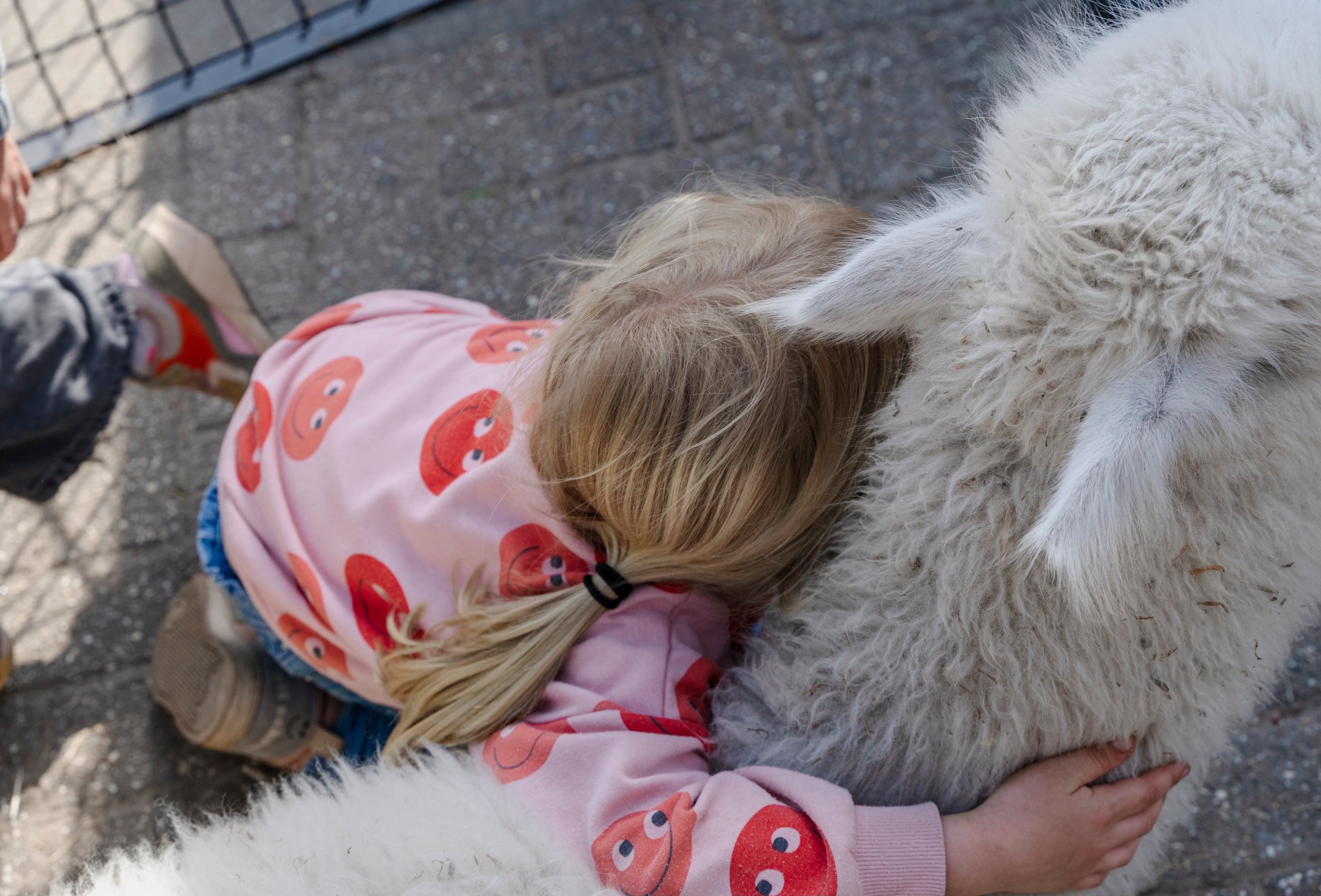 Mobiele zorgboerderij Stal Roelantshof — afbeelding 8